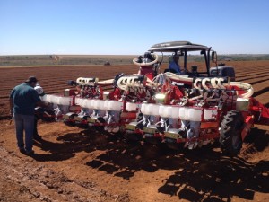 Equipamento para plantio de cenoura dispensa raleio - Crédito Marcelo Takeshi M