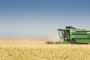 O resultado da agricultura de precisão, geralmente é o aumento de produtividade - Créditos Shutterstock