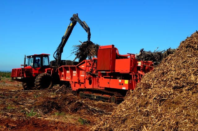 MAIS FLORESTA - Biomassa para Energia - foto Paulo Cardoso (53)