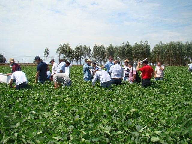 Aula prática no campo - Caravana Embrapa 2015 Dourados - foto de por Jose Mauro Kruker