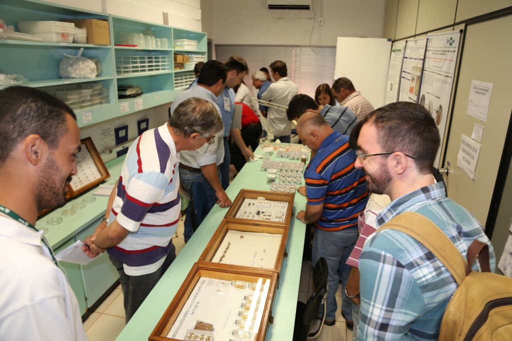 Um dos módulos do treinamento foi a identificacao de pragas nos Laboratórios da Embrapa Agropecuária Oeste durante Caravana Embrapa - Foto por Suelma Bonatto