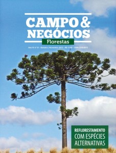 6 - Floresta outubro/novembro 2015