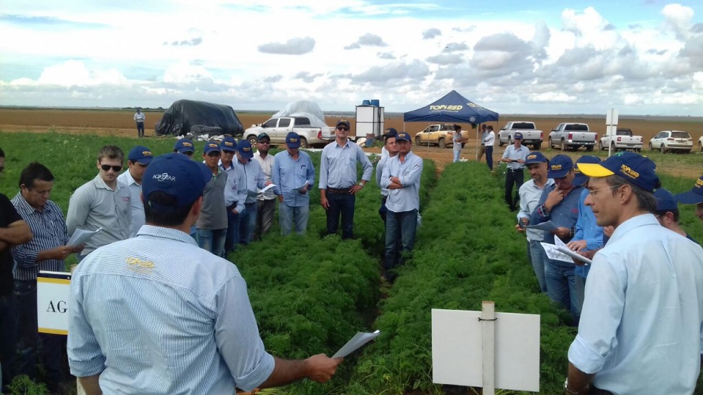 Crédito Agristar do Brasil