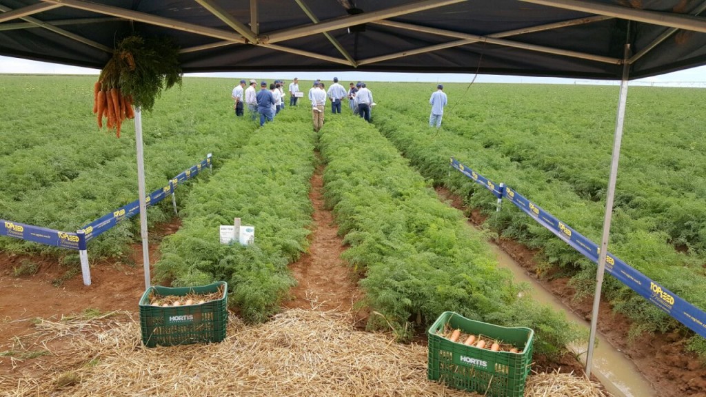 Crédito Agristar do Brasil 