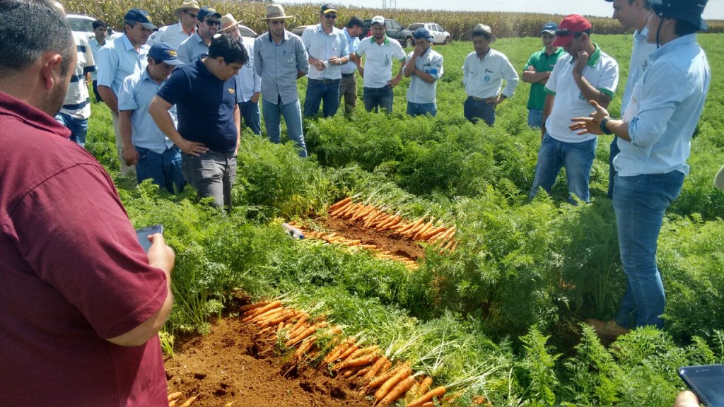 Crédito Agristar do Brasil 