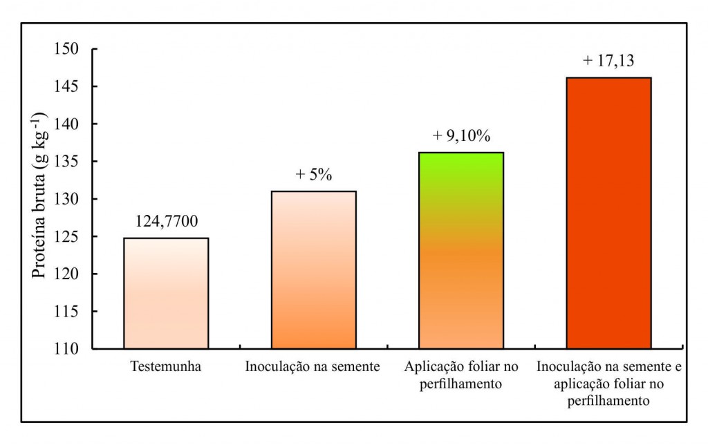 Azospirillum brasiliense traz benefícios também para a soja