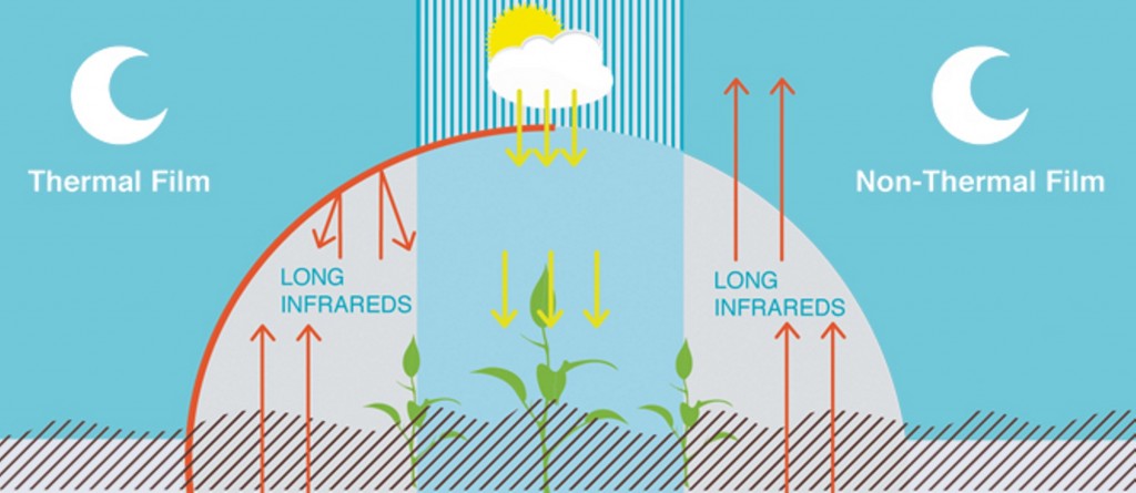 Reflexão de ondas de calor (infravermelho) no ambiente com o filme Suntherm Diff e a saÃ­da do calor em estufa com filme comum.