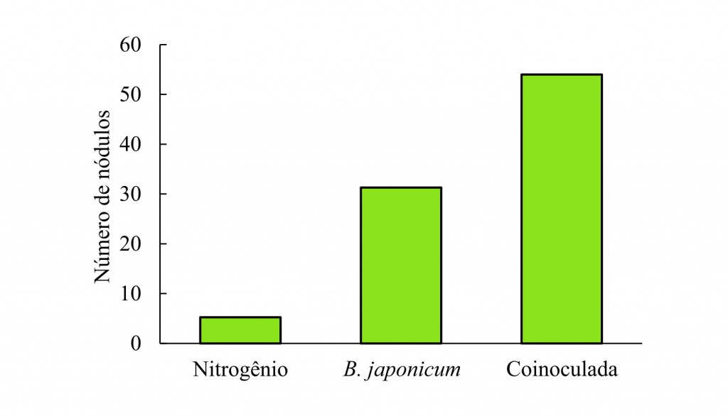 Grafico 1 Coinoculação garante maiores produtividades