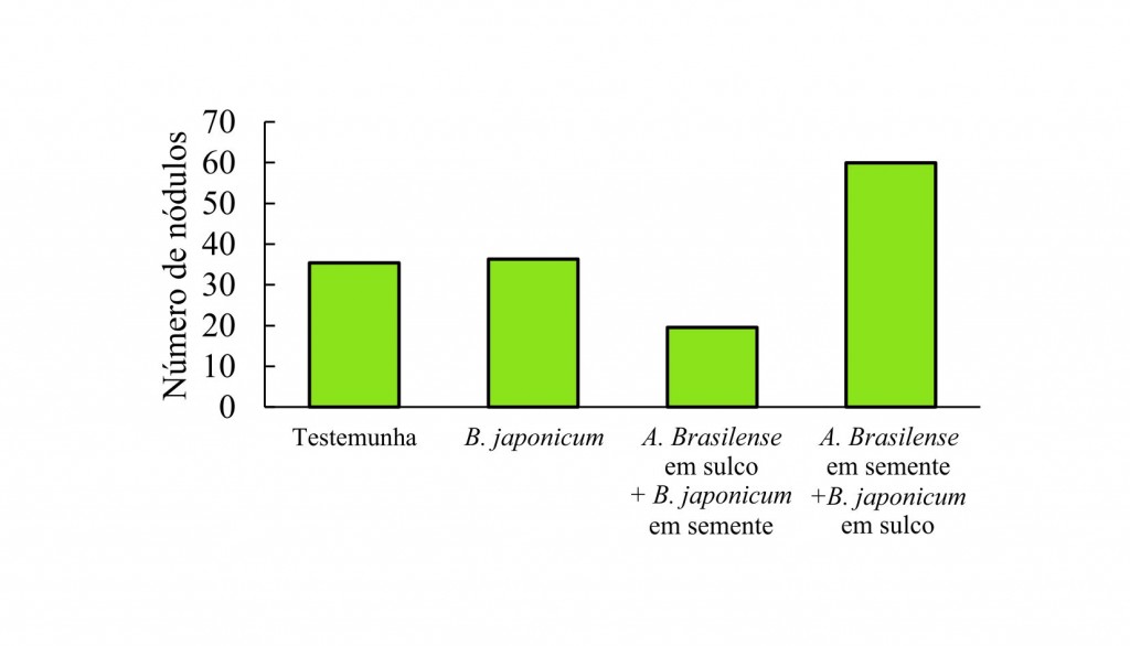 Grafico 4 Coinoculação garante maiores produtividades