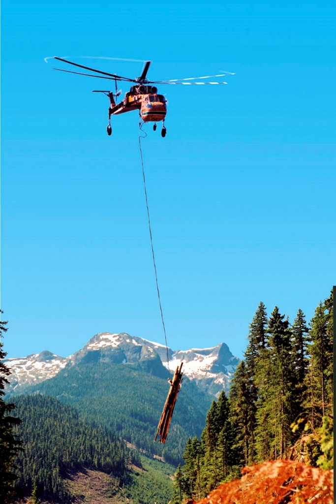 European Air-Crane Logging