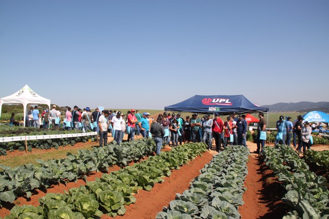 Fungicida Totalit IHARA para Hortifruticultura