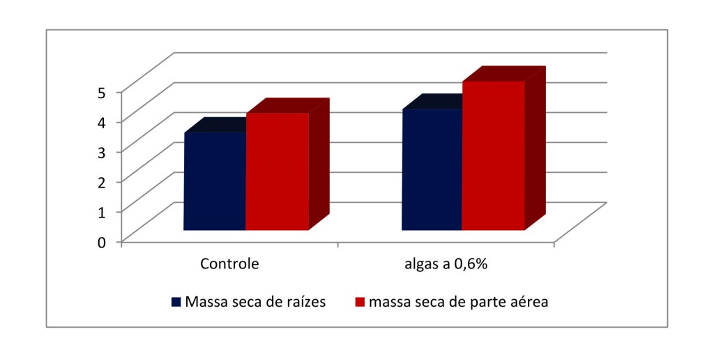 Gráfico 3 - Algas e aminóacidos no tratamento de sementes