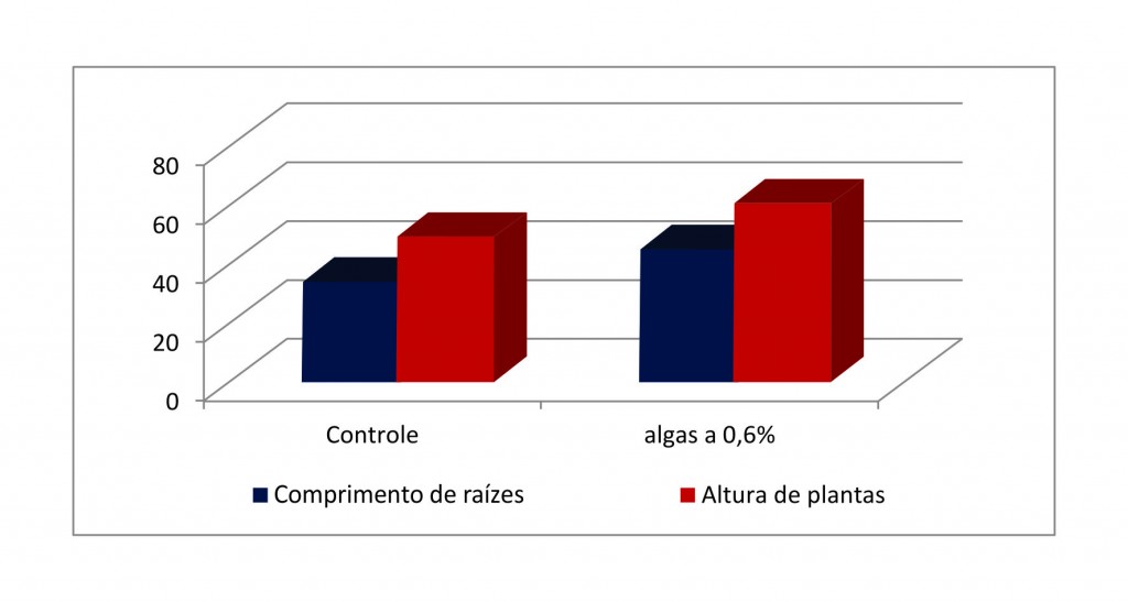 Gráfico 4 - Algas e aminóacidos no tratamento de sementes