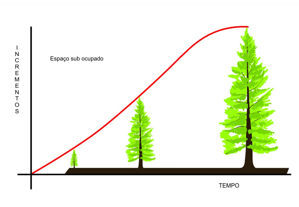 Análise da proposição do manejo florestal