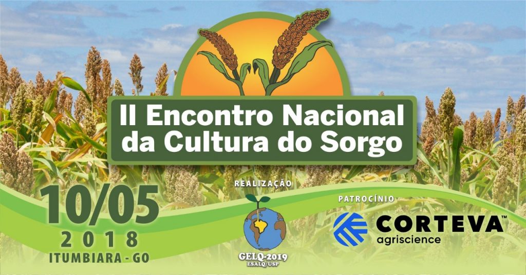 Capa Sorgo