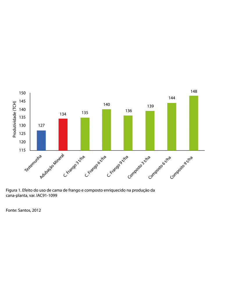 Gráfico para visualizar-01