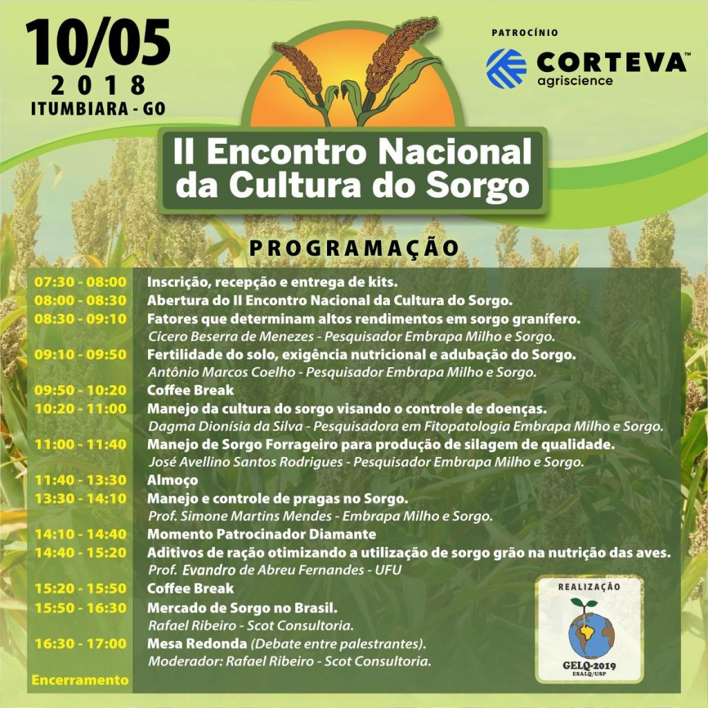 Progamacao Sorgo