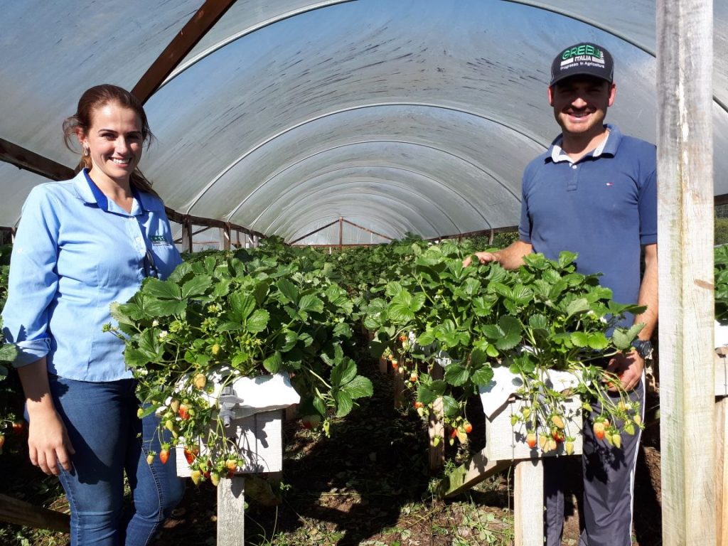 Graciele com IzaiaGaliotto, família tradicional na produção de morango em Flores da Cunha - Crédito Graciele Sarturi