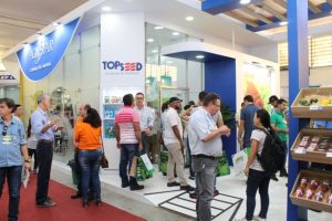 A Topseed Premium apresentou vários lançamentos