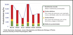 Gráfico produtividade - Terramar