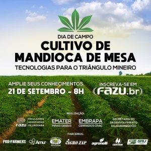 Dia de Campo Cultivo de Mandioca de Mesa