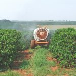 Fungicidas cúpricos para os cafezais