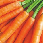 Como alcançar mais sanidade e produtividade nas cenouras