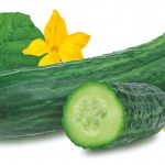 Os benefícios da nutrição foliar para os pepinos