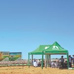 Nufarm possui soluções de ponta para o algodão