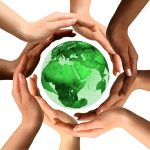 Adubação orgânica significa sustentabilidade e versatilidade no campo