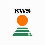 KWS Sementes lança novo site corporativo no Brasil