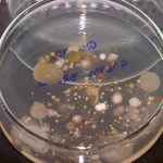 IV Simpósio em Microbiologia Agrícola