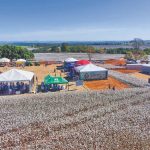 Amipa realiza Dia de Campo com cultura do algodão em alta