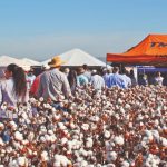 Para cada situação, a TMG tem uma solução