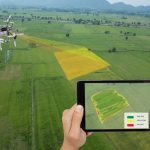 Agronegócio passa por virada digital e pede gestão para alavancar