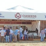 A Semente Certa Para Sua Região
