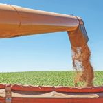 Resultados positivos dentro do sistema de produção com o trigo e soja