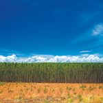 Código e propostas de alterações na gestão ambiental