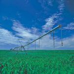 Práticas de manejo para otimizar o nitrogênio em cana-soca