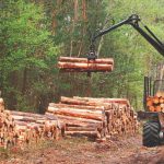 MP 884 não muda o contexto jurídico do Novo Código Florestal