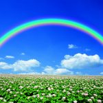 2019: Ano de recuperação da bataticultura