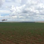 Perfect Flight é aliada à preservação das abelhas