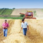 Concurso da Embrapa: práticas de controle e prevenção da erosão