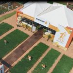 Nova tecnologia para o trigo será apresentada no Show Rural 2020