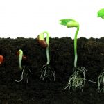 Nutrien anuncia acordo para compra da Agrosema Comercial Agrícola