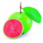 Qual a nutrição correta da goiabeira em produção?