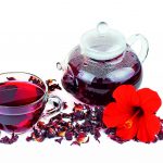 Hibisco atrai atenção de produtores