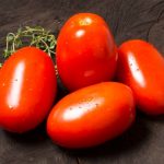 Como ter maior produtividade e rentabilidade com o cultivo de tomate?