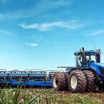 O segredo das altas produtividades está na semeadura?
