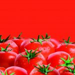 Armazenamento: Prolongue o tempo de conservação de tomates